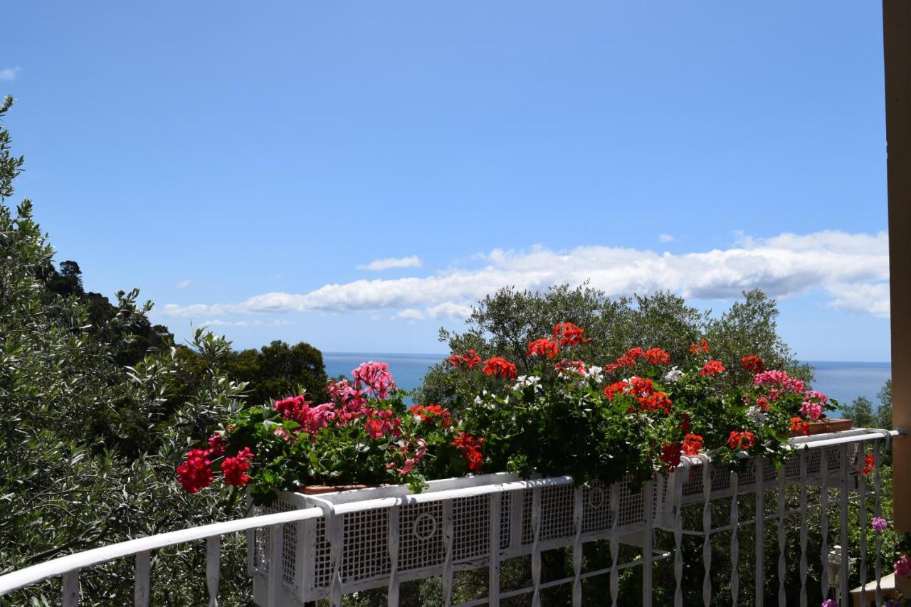 Villa Il Respiro 쪼알리 외부 사진