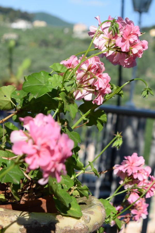 Villa Il Respiro 쪼알리 외부 사진