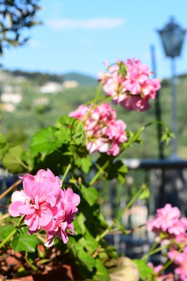 Villa Il Respiro 쪼알리 외부 사진